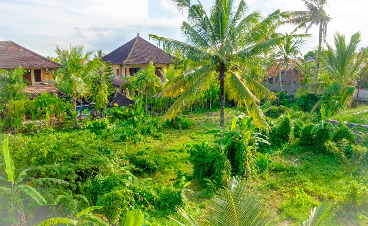 Semujan Bungalow Ubud Esterno foto